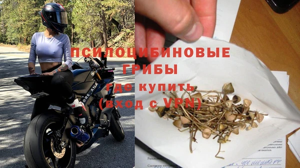 стаф Армянск