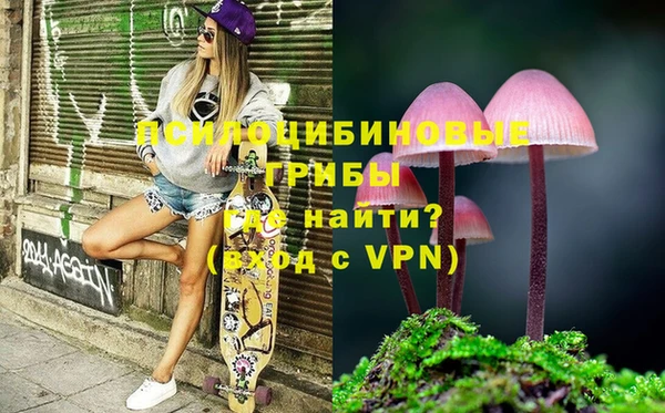 a pvp Арсеньев