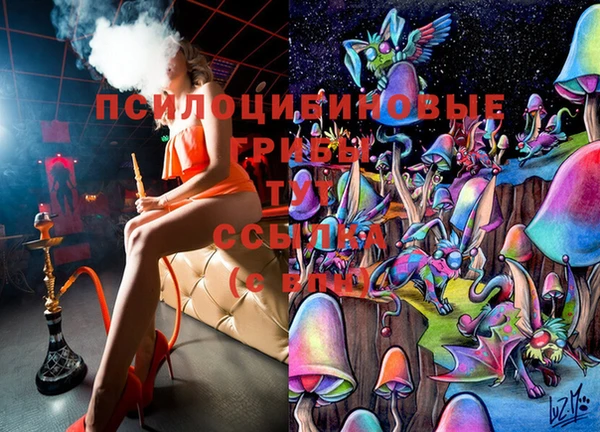 стаф Армянск
