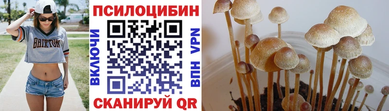 купить наркотик Усолье Псилоцибиновые грибы мухоморы