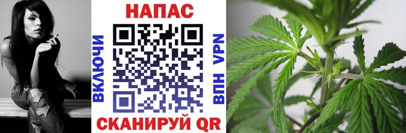 Бошки Шишки сатива Усолье